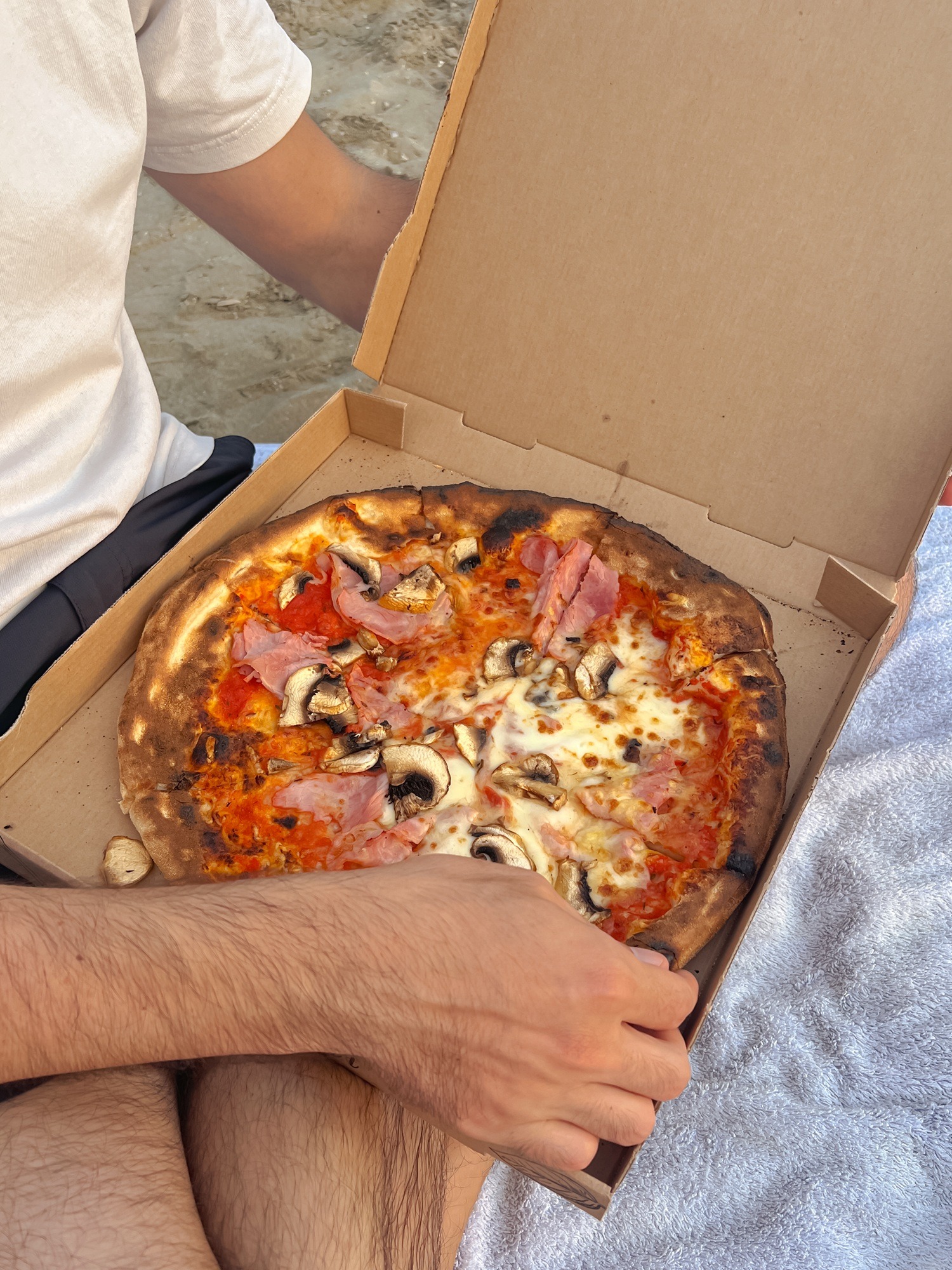 Pizza beach picnic